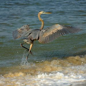 Meet your Posher, Claire